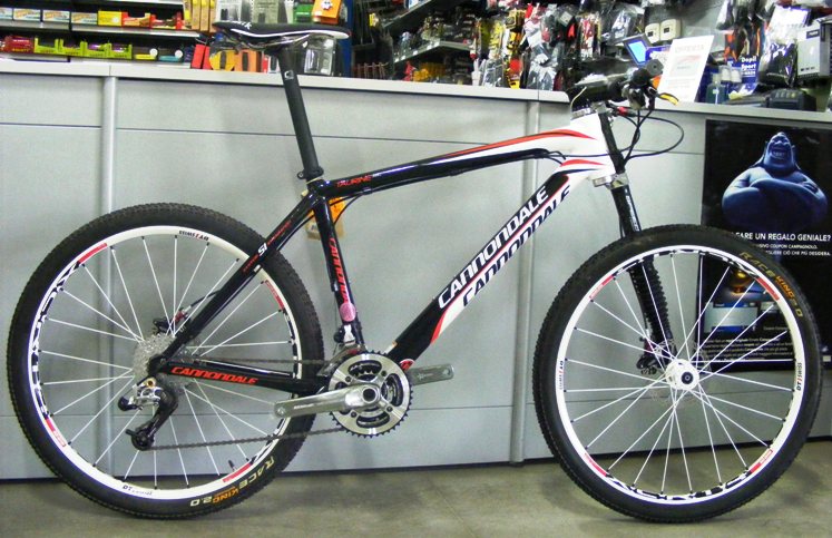 cannondale taurine sl